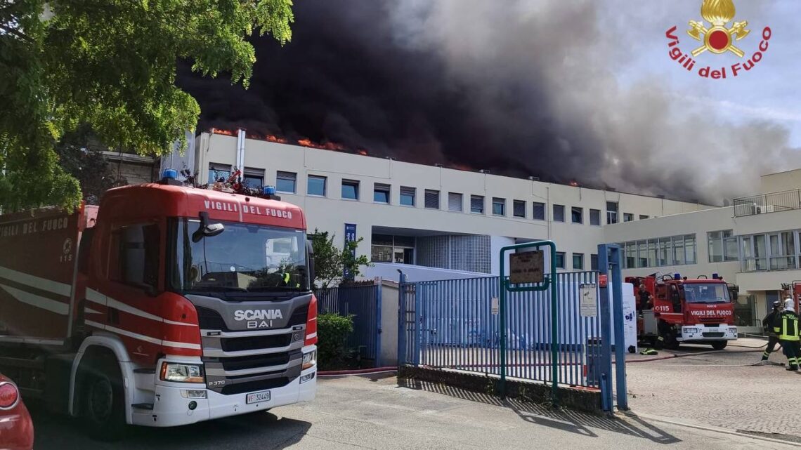 Incendio all’Università di Viterbo, fiamme divampano dal tetto e devastano aule e biblioteca Incendio all’Università di Viterbo, fiamme divampano dal tetto e devastano aule e biblioteca