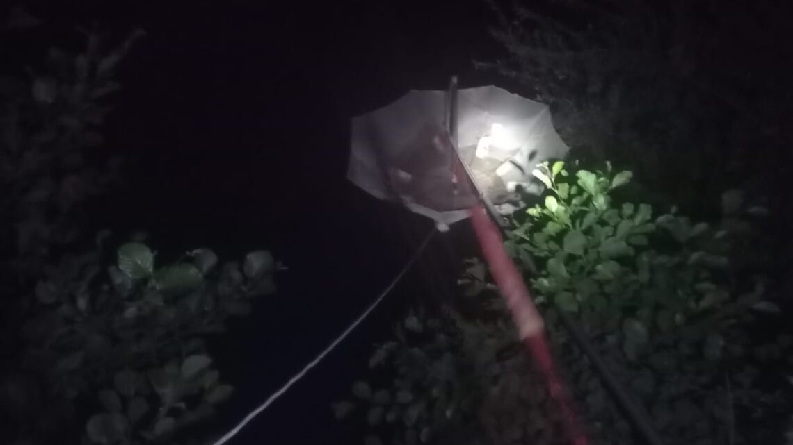 Catturavano le anguille con la “Mazzacchera”, multati tre pescatori di frodo a Priverno Catturavano le anguille con la “Mazzacchera”, multati tre pescatori di frodo a Priverno