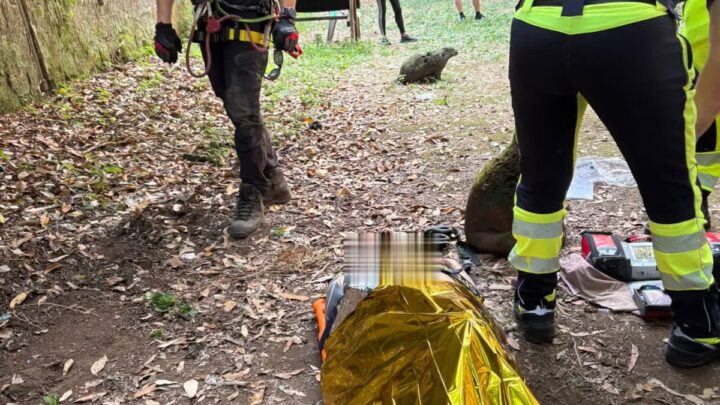 Doppio salvataggio dei vigili del fuoco a Centocelle, cercano cane, trovano uomo prigioniero di crepaccio