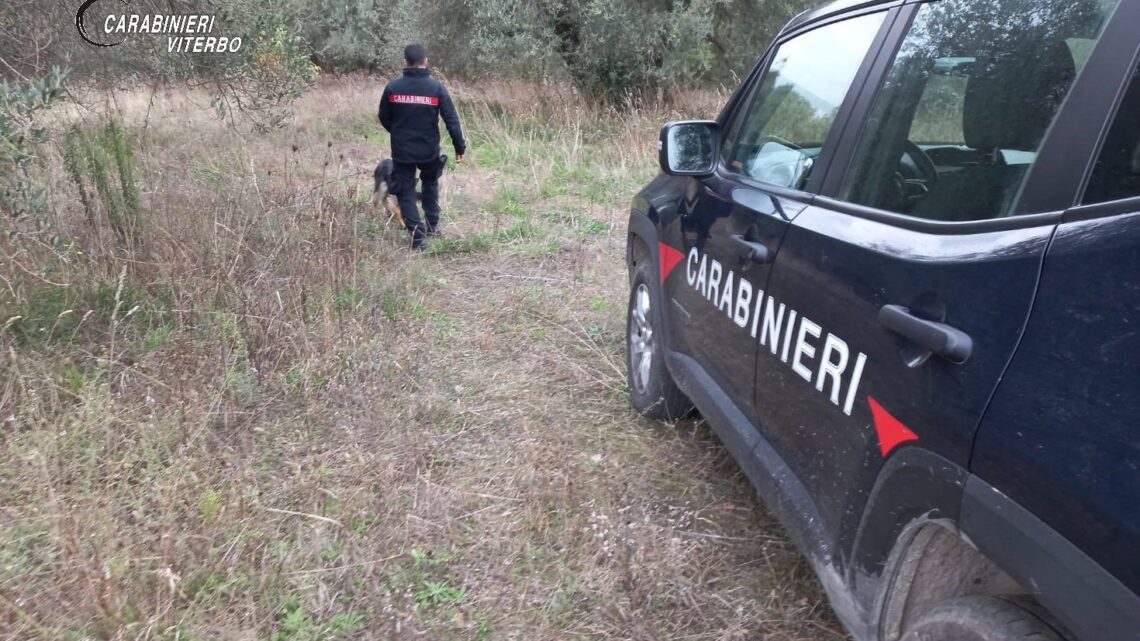Spaccio di droga nei boschi, con 7 arresti sgominata, banda spacciava e campeggiava Spaccio di droga nei boschi, con 7 arresti sgominata, banda spacciava e campeggiava