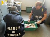 La droga degli zombie ai Castelli Romani, sequestrate 28 compresse di Fentanyl ad Ariccia