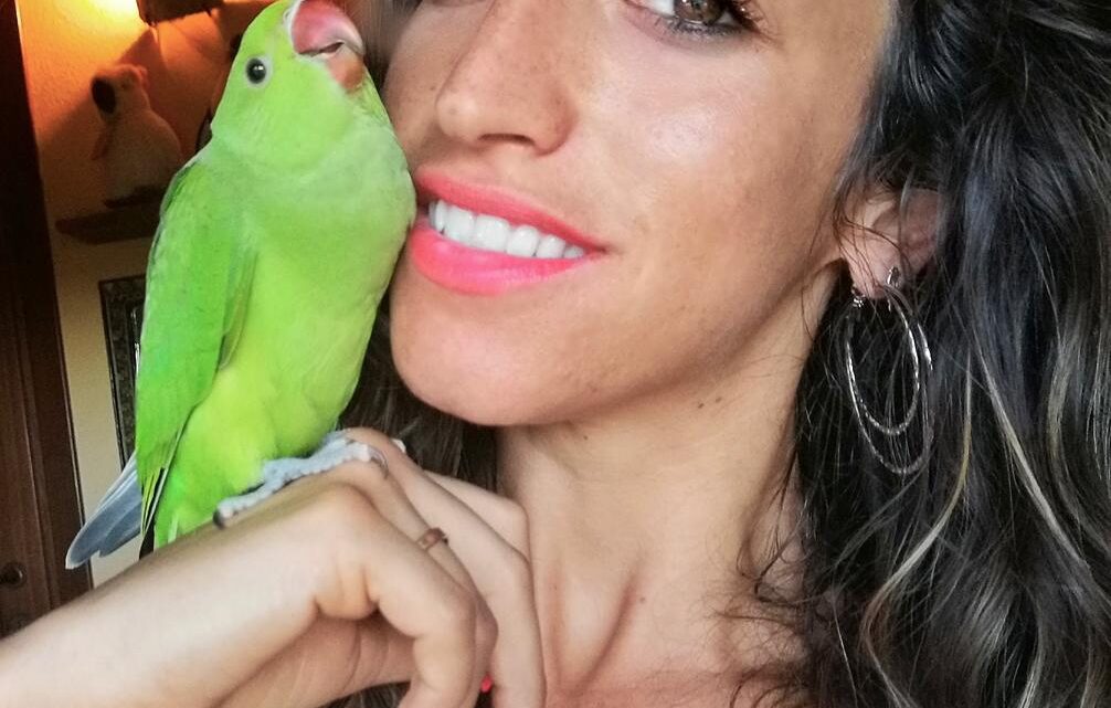 Bolzano terra di pappagalli, il veterinario: “nidificano in città e prendono spazio alle specie autoctone”