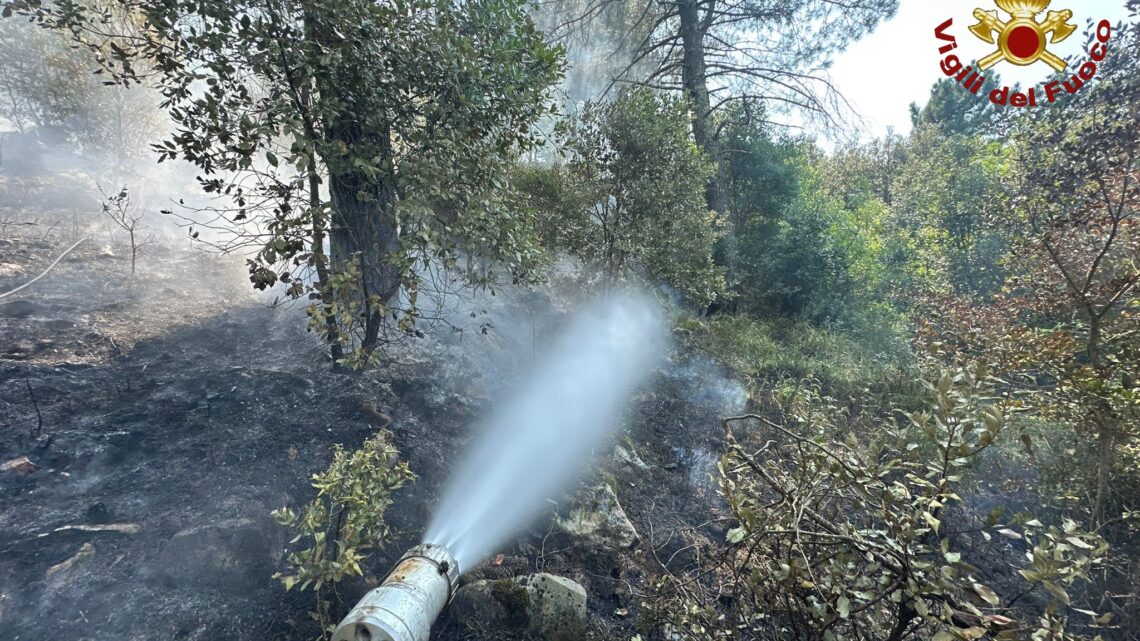 Incendio nella pineta di Macchia d’Isernia: Vigili del Fuoco domano le fiamme, bruciato mezzo ettaro