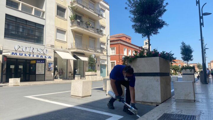 West Nile, prosegue la campagna di disinfestazione a Latina. Il Sindaco: “Prevenzione, strategia più efficace”
