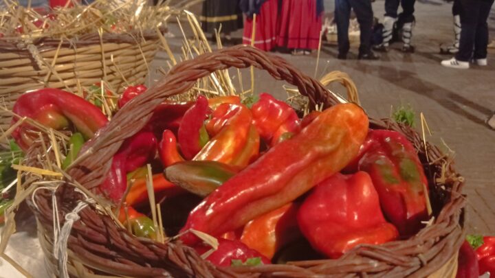 Pontecorvo – A settembre torna la festa del peperone