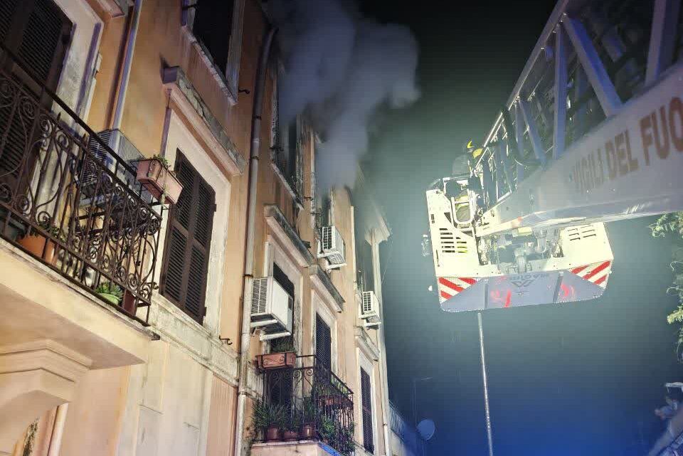 Appartamento in fiamme a Roma, salvato un gatto e una tartaruga. Morto secondo gatto