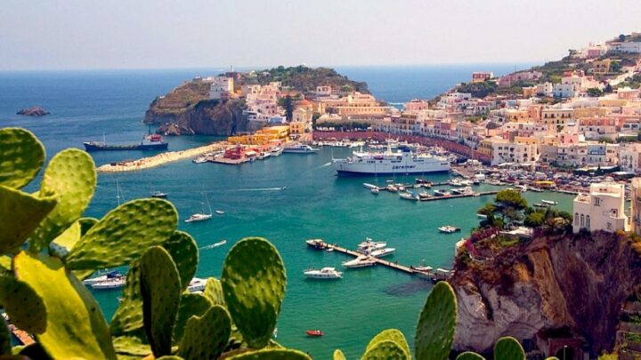 La mostarda di Ponza, origini borboniche e i fichi d’India ingrediente principale