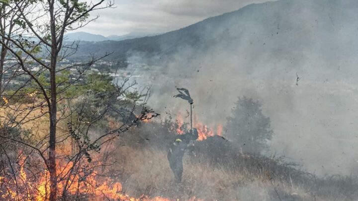Incendi boschivi e di vegetazione, oltre 65mila interventi dal 15 giugno e più di 1000 nell’ultima settimana