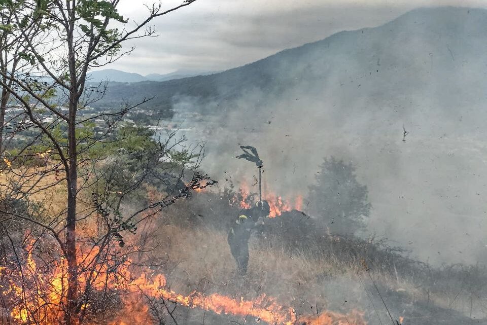 Incendi boschivi e di vegetazione, oltre 65mila interventi dal 15 giugno e più di 1000 nell’ultima settimana