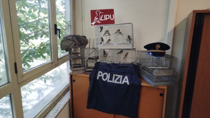 Stop al bracconaggio: blitz ad Aversa della Polizia di Stato e della LIPU