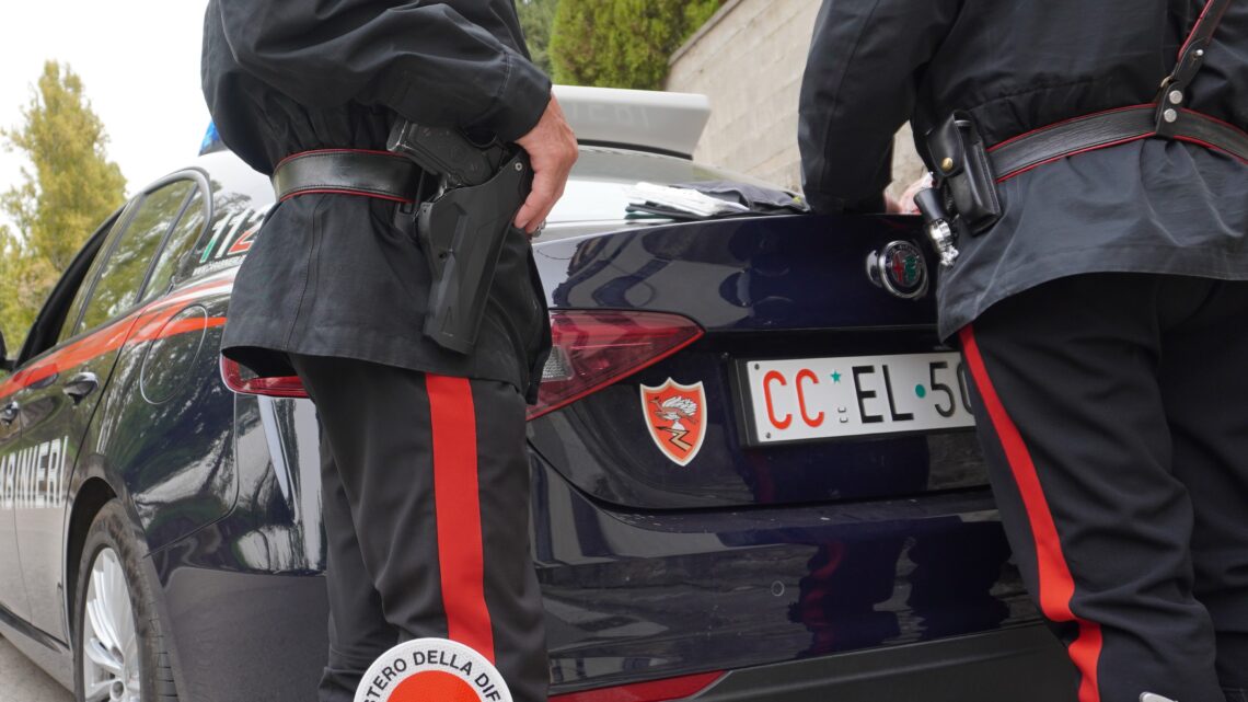 Sorpresi a rubare kiwi, quattro denunciati