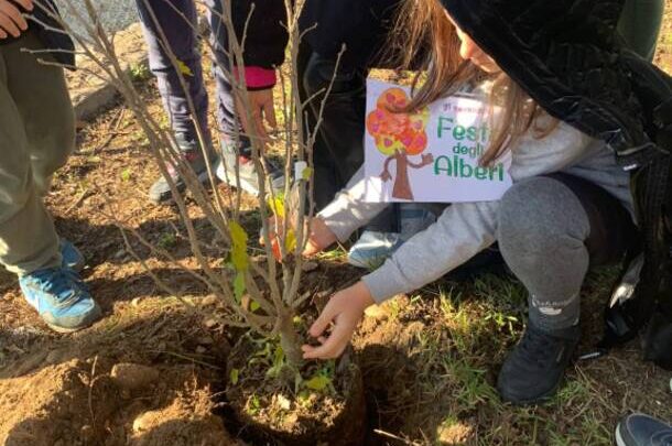 Sermoneta celebra la Giornata Internazionale dell’Albero con gli studenti