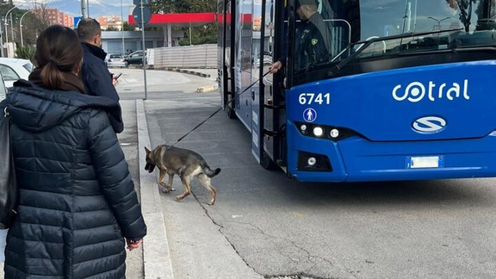 Progetto “Scuole Sicure”: blitz della Polizia tra Frosinone e Cassino, sequestrata sostanza stupefacente
