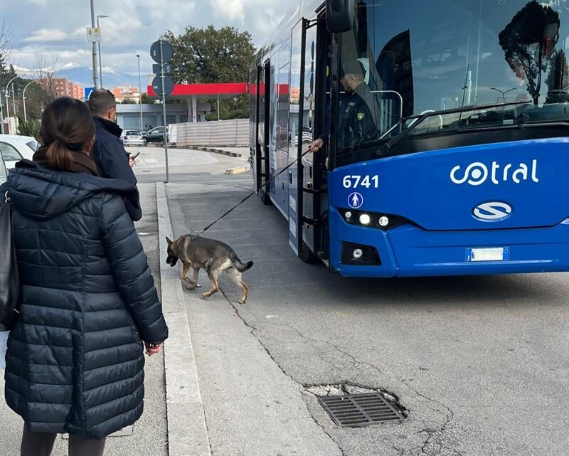 Progetto “Scuole Sicure”: blitz della Polizia tra Frosinone e Cassino, sequestrata sostanza stupefacente