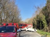 Incidente stradale tra Sant’Apollinare e Sant’Angelo, un ferito