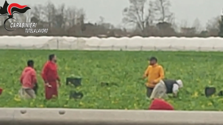 Sfruttamento dei braccianti nell’agro aversano, arrestati un imprenditore agricolo e la moglie