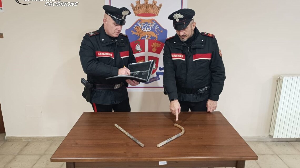 Pontecorvo e San Giorgio a Liri – Tre persone denunciat3 per porto ingiustificato di oggetti atti ad offendere