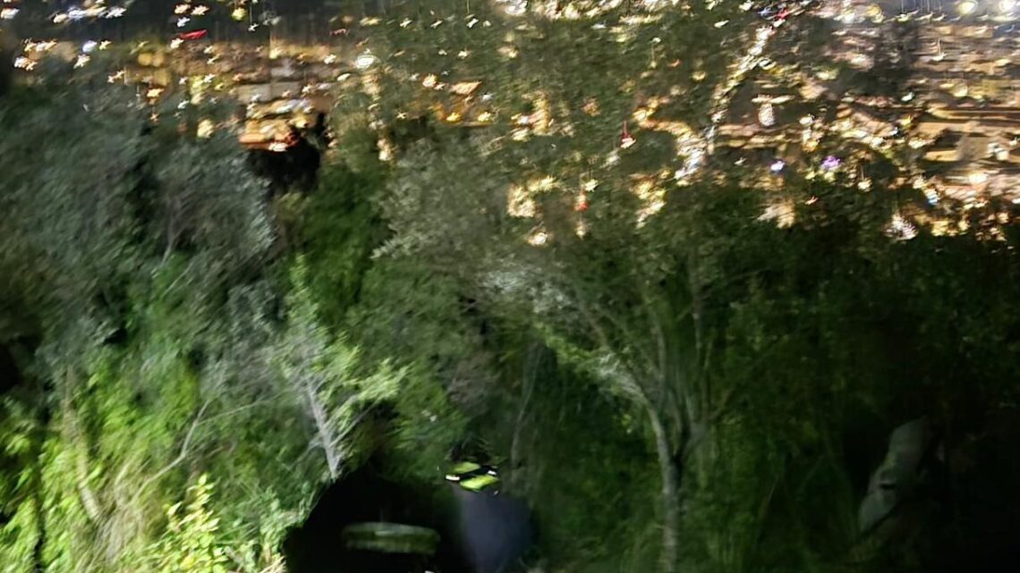 Cassino: Escursionista minorenne viene inseguito dai cinghiali e si perde a Montecassino, salvato dai vigili del fuoco