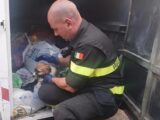 Cucciolo “rifiutato”, vigili del fuoco salvano cagnolino gettato in un contenitore