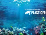 Plastic Free a Marina di Frigole, Archeoplastica e la cura del Mediterraneo come pratica civile