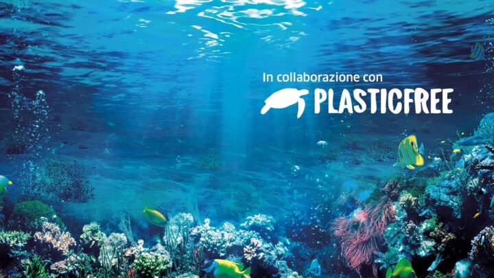 Plastic Free a Marina di Frigole, Archeoplastica e la cura del Mediterraneo come pratica civile