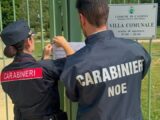 Rifiuti da demolizione con metalli pesanti al posto del prato nei lavori PNRR, sequestrata la Villa Comunale di Cassino