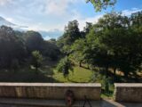 Pnalm sui cuccioli dell’area faunistica del lupo di Civitella Alfedena: una vicenda dolorosa