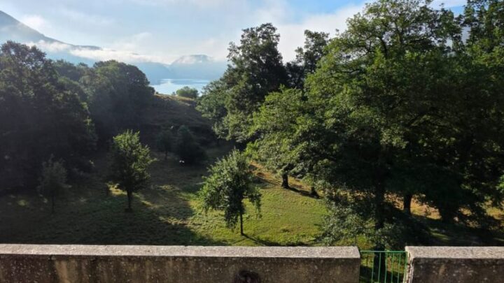 Pnalm sui cuccioli dell’area faunistica del lupo di Civitella Alfedena: una vicenda dolorosa