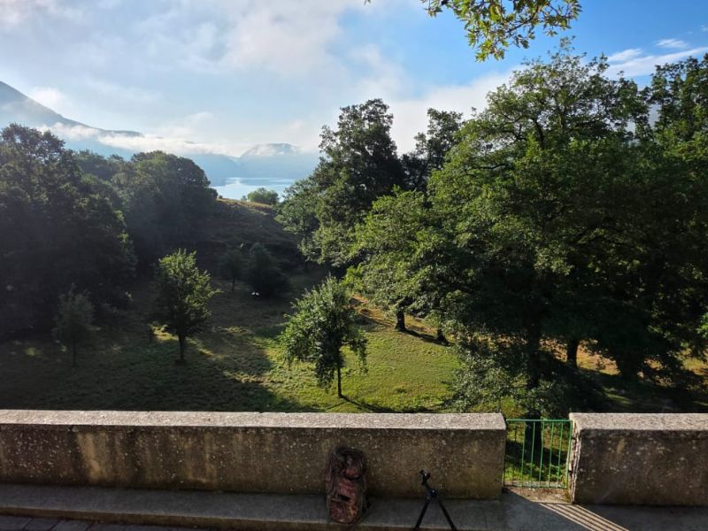 Pnalm sui cuccioli dell’area faunistica del lupo di Civitella Alfedena: una vicenda dolorosa