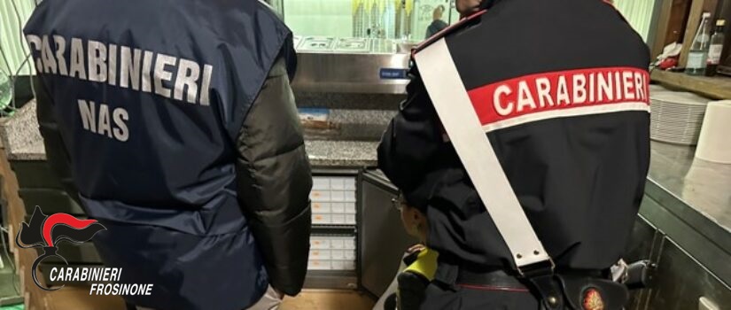 Blitz dei NAS nel Frusinate: chiusi un ristorante e un caseificio per gravi carenze igieniche