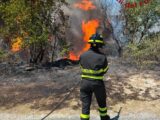 Macchia d’Isernia, rogo in contrada Grotte: in campo vigili del fuoco, forestali e mezzo aereo