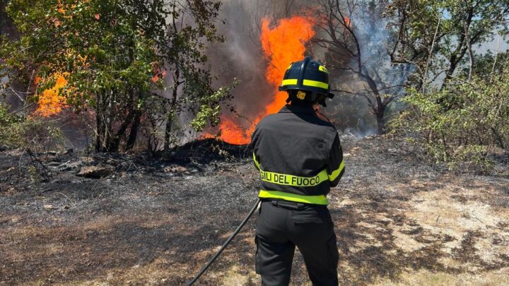 Macchia d’Isernia, rogo in contrada Grotte: in campo vigili del fuoco, forestali e mezzo aereo