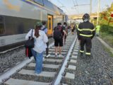 Mucche sui binari, deraglia treno con 450 persone a bordo alle porte di Roma.