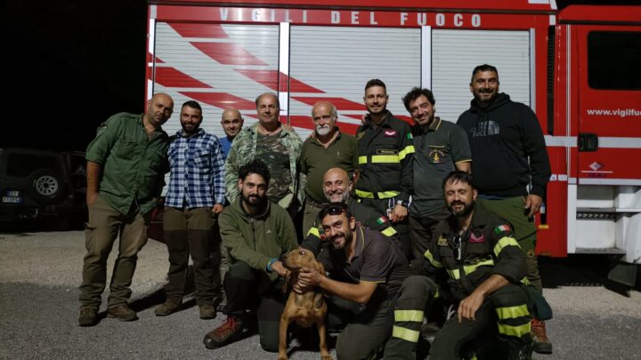 Atina, cade in un dirupo: il cane Rosa salvato dai Vigili del Fuoco dopo quattro ore di intervento