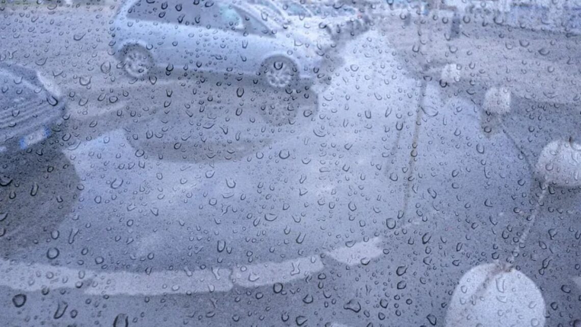 Il maltempo flagella la regione. Danni nel Pontino, in Ciociaria e basso Lazio. Cassino allagamenti e caduta di alberi